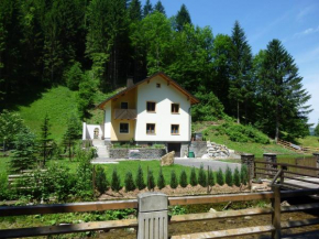 Gästehaus Forstner, Loich, Österreich